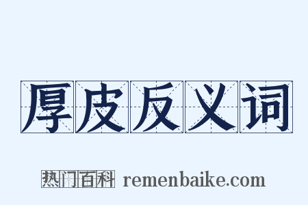 厚皮反义词是什么意思的图片